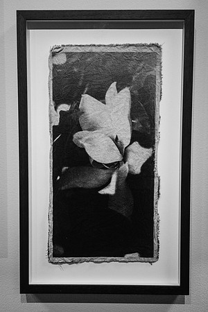 0028 2025-11-07 SCAD Fall Fine Arts Showcase-VAL03028