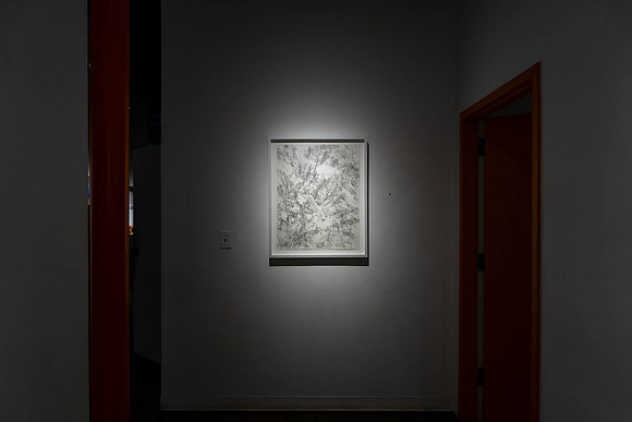 2025-03-14 KAI LIN ART ESSENTIAL-VAL08781