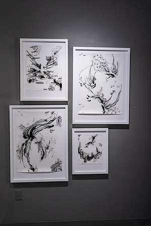 2025-03-14 KAI LIN ART ESSENTIAL-VAL09064