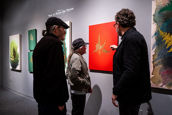 KAI LIN ART THE ART OF STEVEN L. ANDERSON - HOW TO KNOW THE FERNS-VAL03240