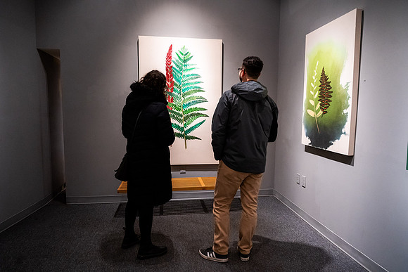 KAI LIN ART THE ART OF STEVEN L. ANDERSON - HOW TO KNOW THE FERNS-VAL03337