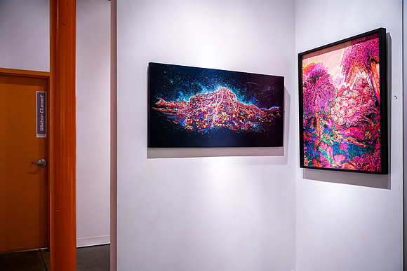 KAI LIN ART THE ART OF STEVEN L. ANDERSON - HOW TO KNOW THE FERNS-VAL03419
