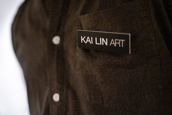 KAI LIN ART THE ART OF STEVEN L. ANDERSON - HOW TO KNOW THE FERNS-VAL03495