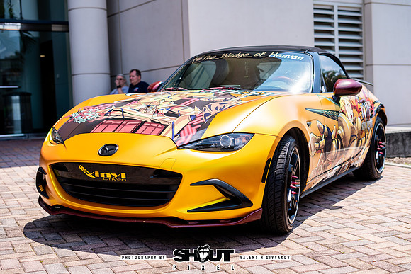 Savannah Mega Comic photography by shoutpixel
