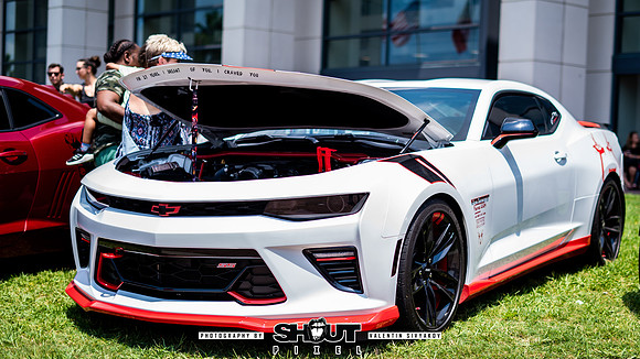 Savannah Mega Comic photography by shoutpixel