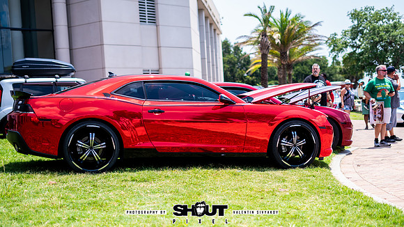 Savannah Mega Comic photography by shoutpixel