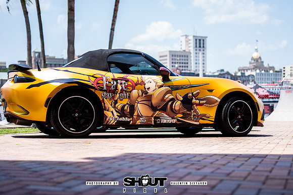 Savannah Mega Comic photography by shoutpixel