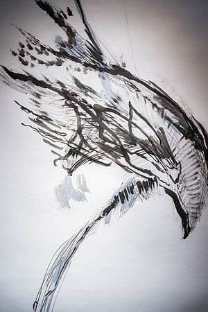 2025-03-14 KAI LIN ART ESSENTIAL-VAL09102