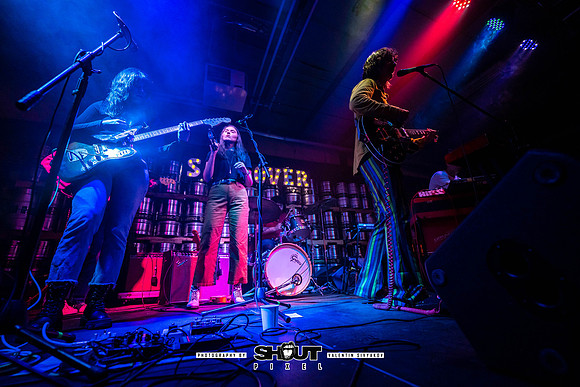 9-Savannah Stopover XI, Reverend Bro Diddley and The Hips, photo by Valentin Sivyakov-VAL03417