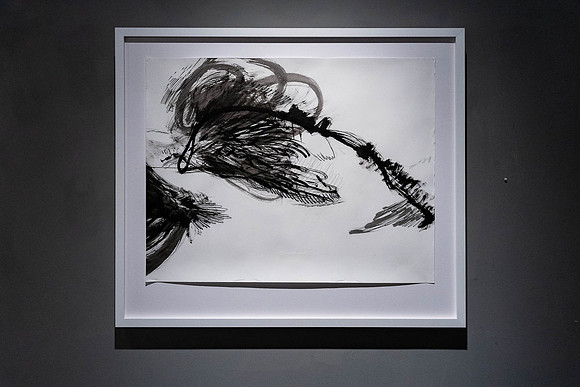 2025-03-14 KAI LIN ART ESSENTIAL-VAL09110