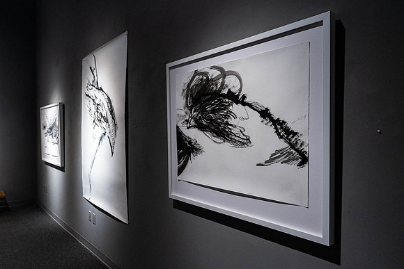 2025-03-14 KAI LIN ART ESSENTIAL-VAL09113