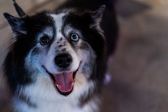 0134--VAL02204