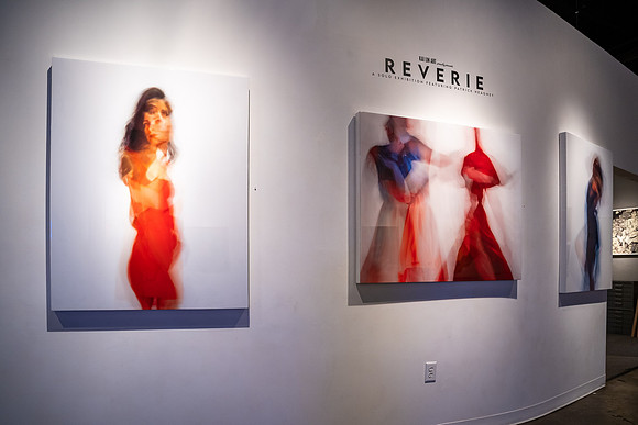 KAI LIN ART Reverie Patrick Heagney show photo by Valentin Sivyakov-VAL09884