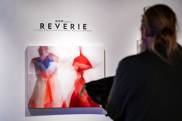 KAI LIN ART Reverie Patrick Heagney show photo by Valentin Sivyakov-VAL09976