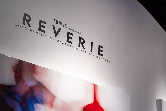 KAI LIN ART Reverie Patrick Heagney show photo by Valentin Sivyakov-VAL09882